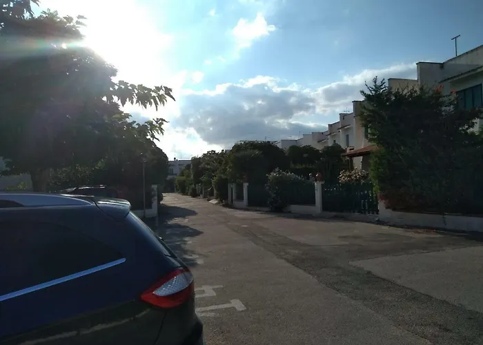 I Dauni * 贝瓦尼亚圣彼得